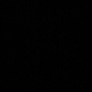 Meet your Posher, Briana